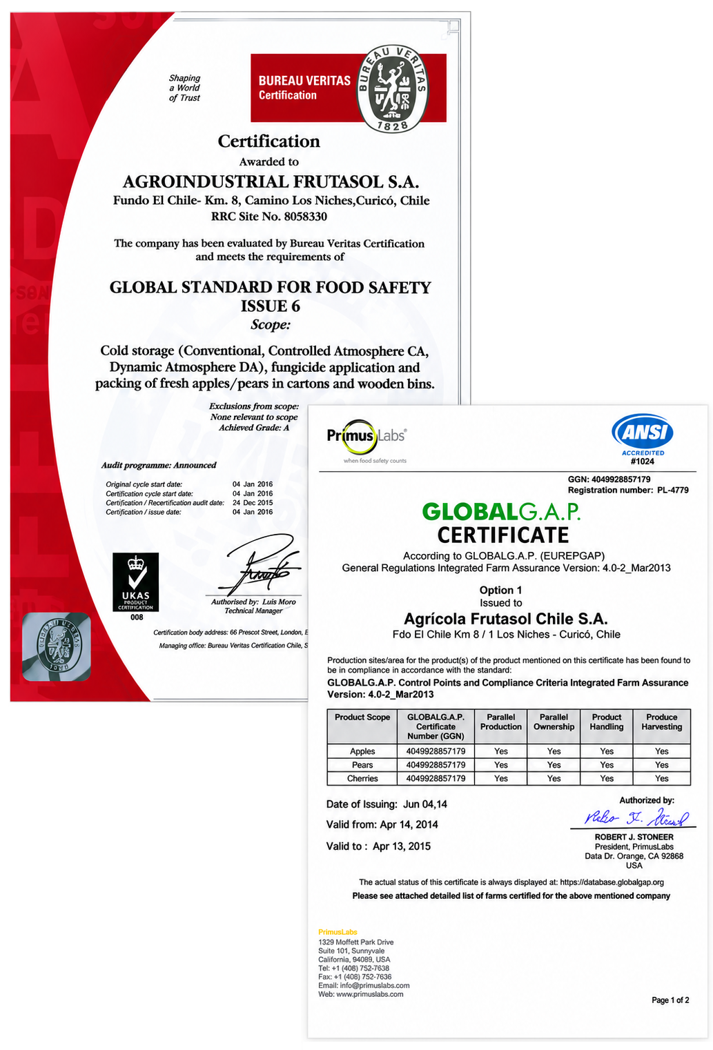 Certificados 2