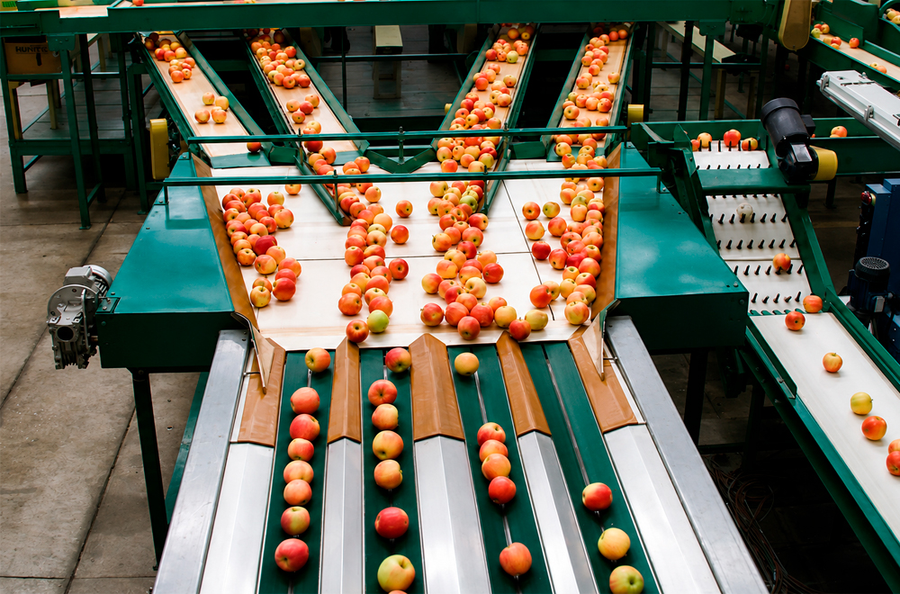 linea_manzanas