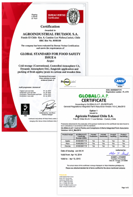 Certificados 2